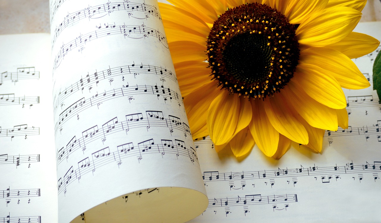 An image with music sheets and a sunflower.